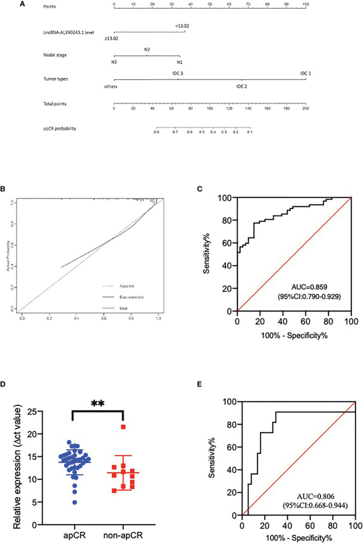 Figure 4