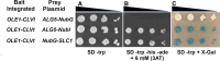 Figure 3.