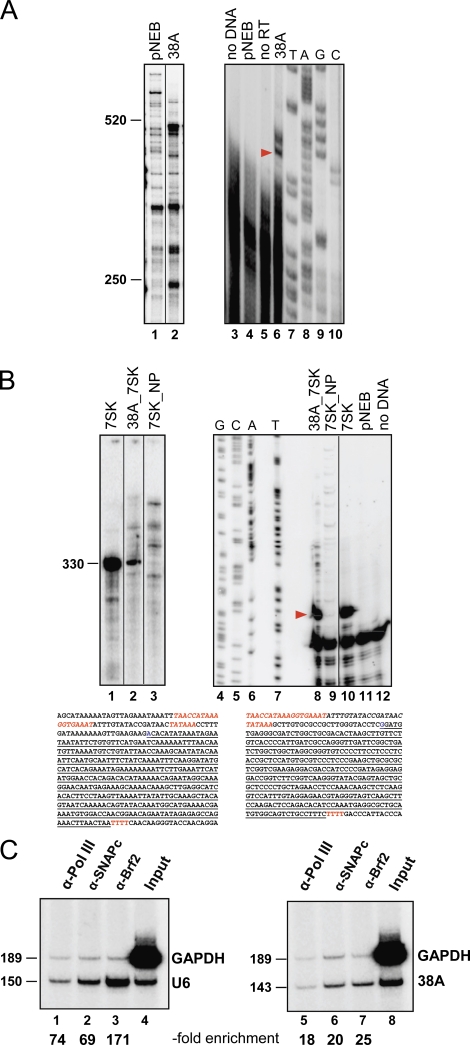 Figure 1.