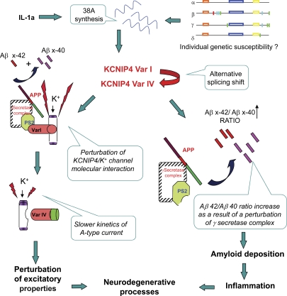 Figure 10.