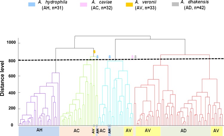 FIG 1