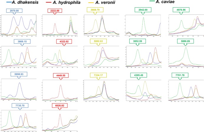 FIG 2