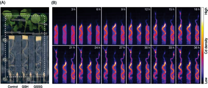 Fig. 4. 