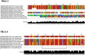 Figure 5—figure supplement 1.