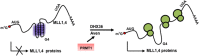 Figure 11.