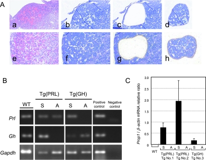 Fig. 4