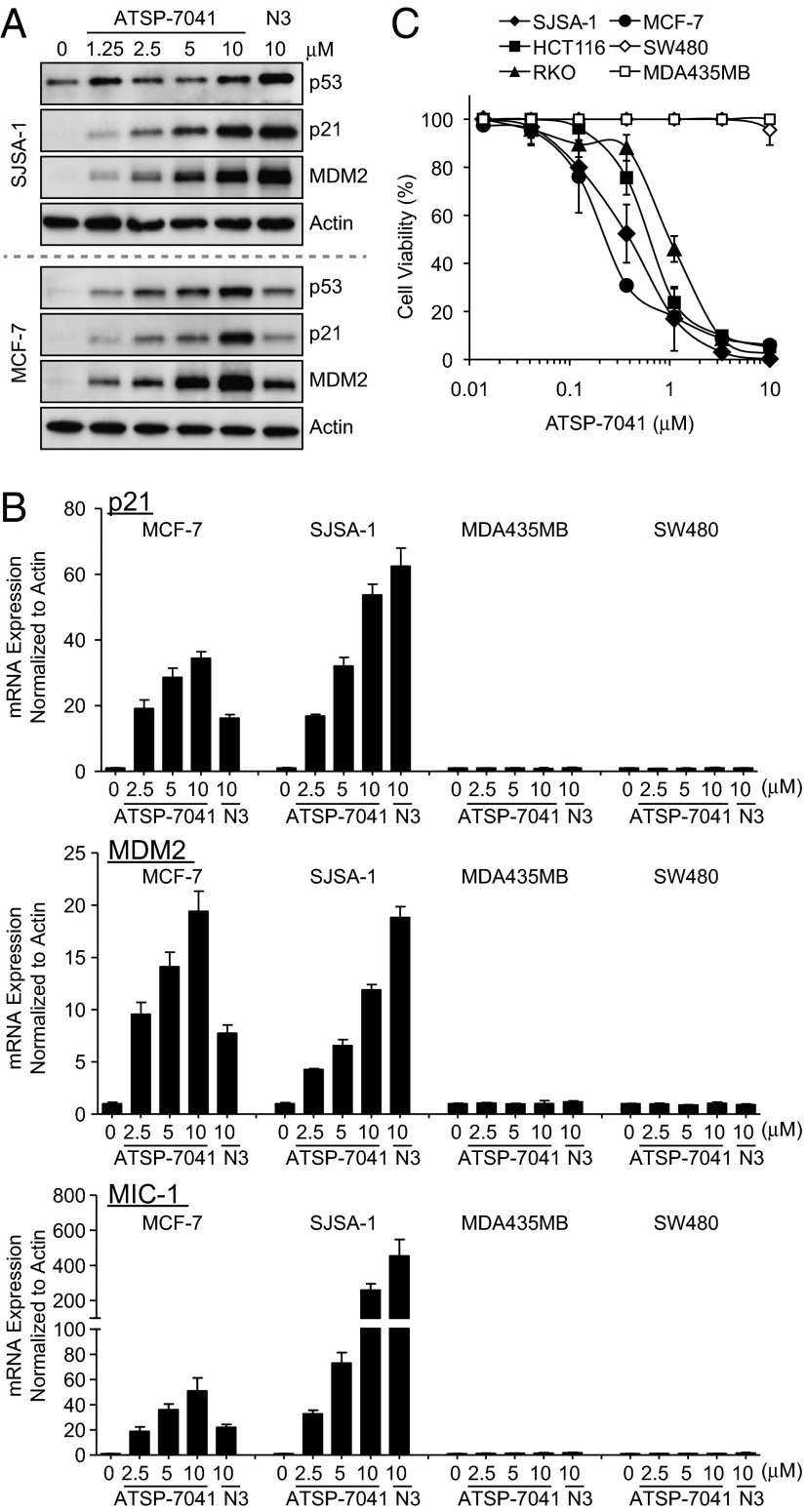 Fig. 4.