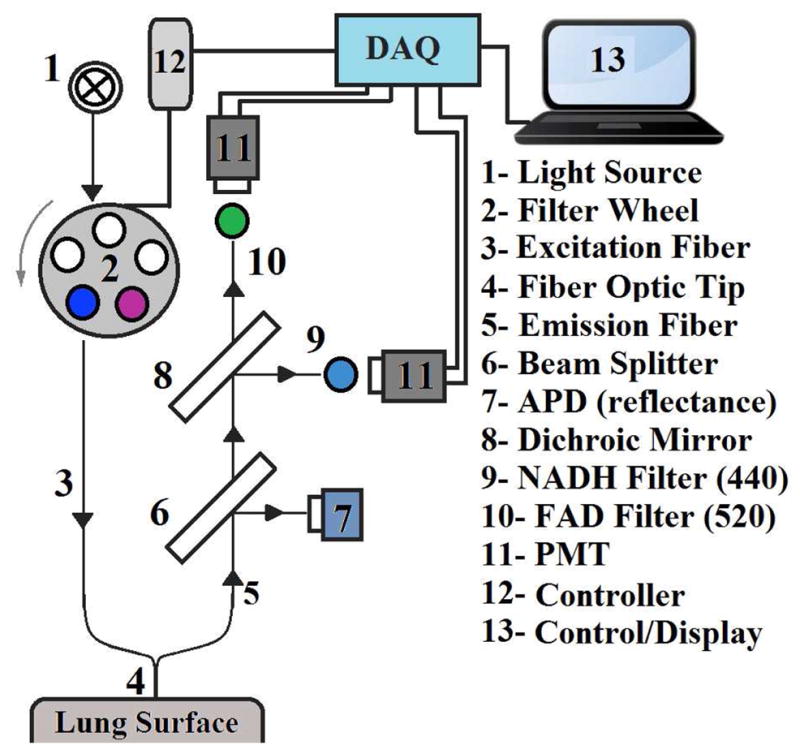 Fig. 1