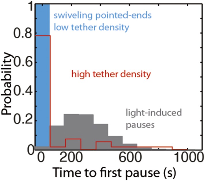 Figure 4—figure supplement 2.