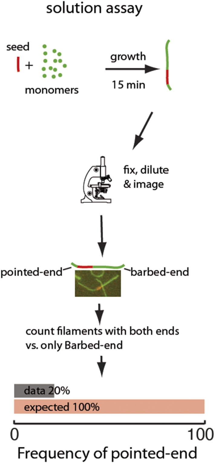 Figure 4—figure supplement 3.