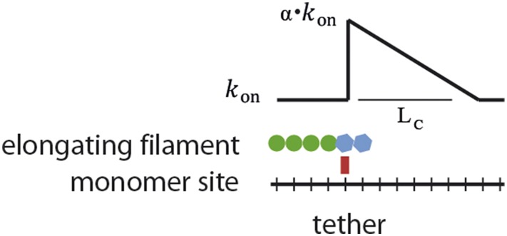 Figure 3—figure supplement 4.