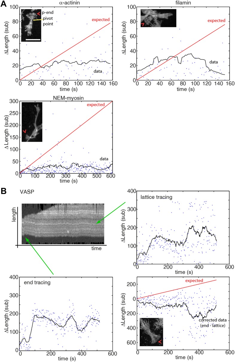 Figure 4—figure supplement 1.