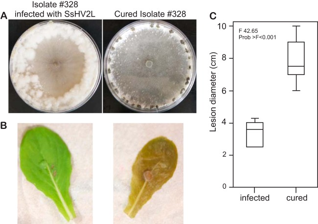 FIG 3