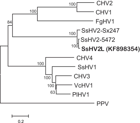 FIG 2