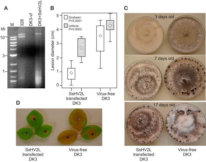 FIG 4