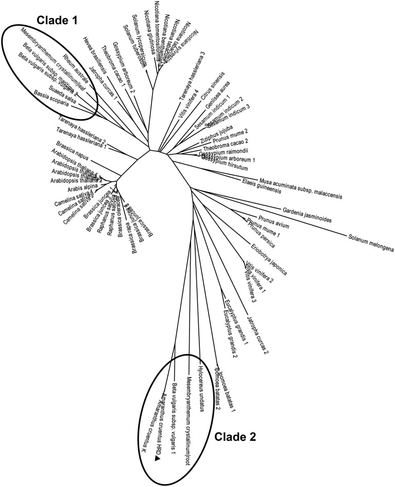 Figure 7