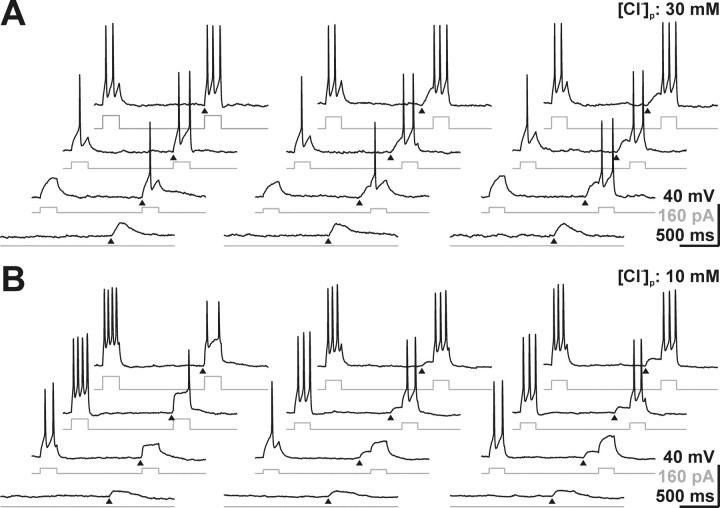 Figure 10.