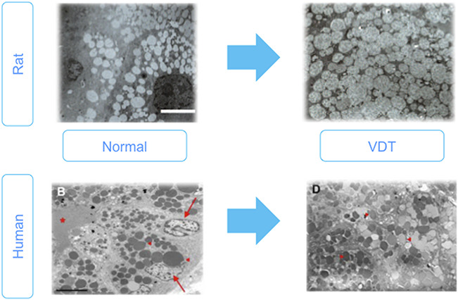 FIG. 8.