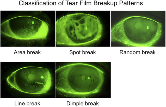 FIG. 7.