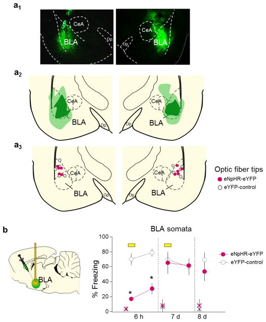 Extended Data Fig. 8