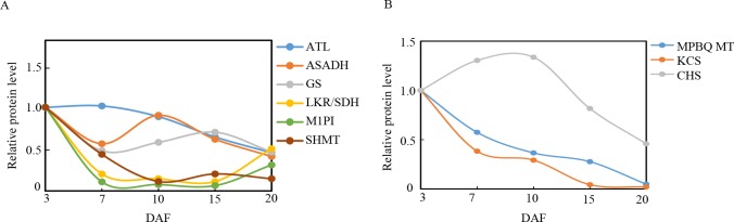 Fig 11