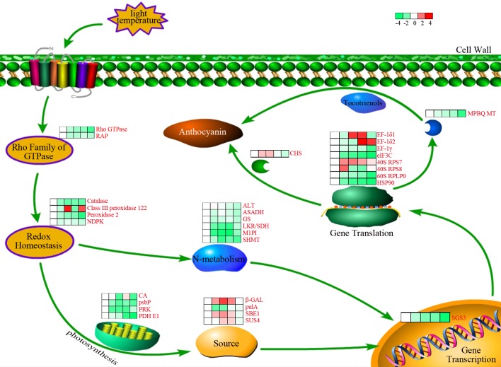 Fig 12