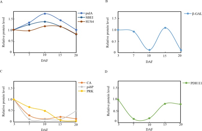 Fig 10