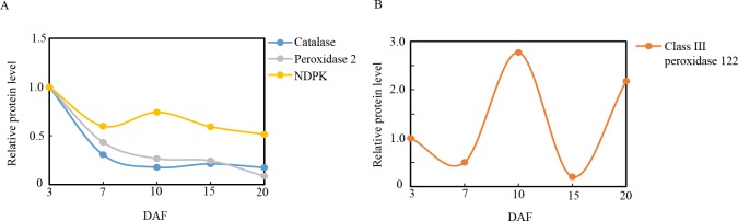 Fig 9