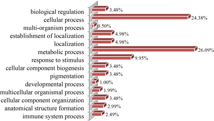 Fig 5