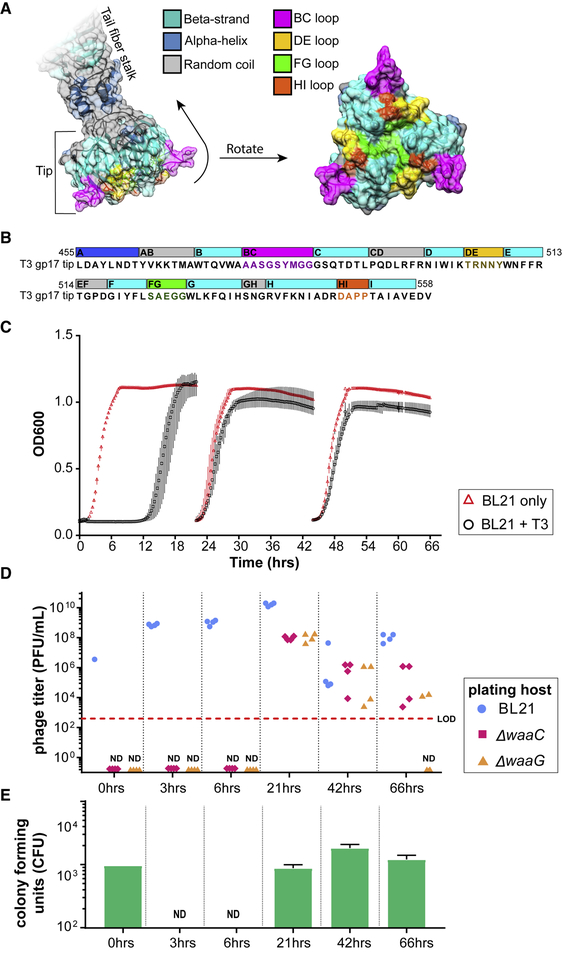 Figure 2.