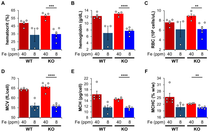 Figure 1—figure supplement 2.