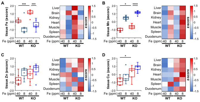 Figure 2—figure supplement 1.