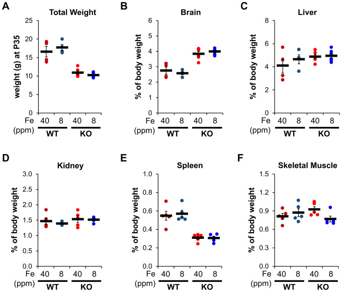 Figure 2—figure supplement 2.