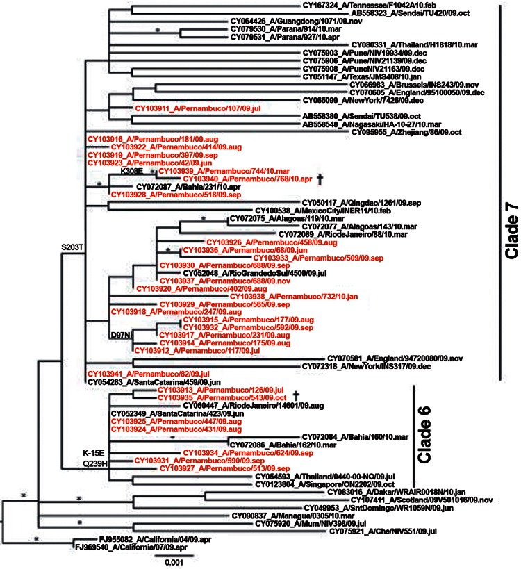 Maximum-likelihood (ML) phylogenetic tree of complete neuraminidase gene
representing influenza A(H1N1)pdm09 viruses circulating in the state of
Pernambuco (PE) from June 2009-April 2010. PE sequence names are in red to
differentiate from other representative sequences from the equivalent period
available in the GenBank database. ML reliability of branches was evaluated
using an approximate likelihood-ratio test and the interior branch cut-off
value was ≥ 0.9 indicated by an asterisk. All samples sequenced in this study
are classified in clades 6 and 7 that co-circulate. Major associated amino acid
changes are indicated in the branches using H1 numbering without signal
peptide. The tree is rooted with egg-isolated vaccine strain A/California/07/09
(FJ969540). †: deceased patients.