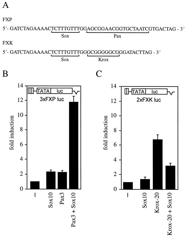 Fig. 10.