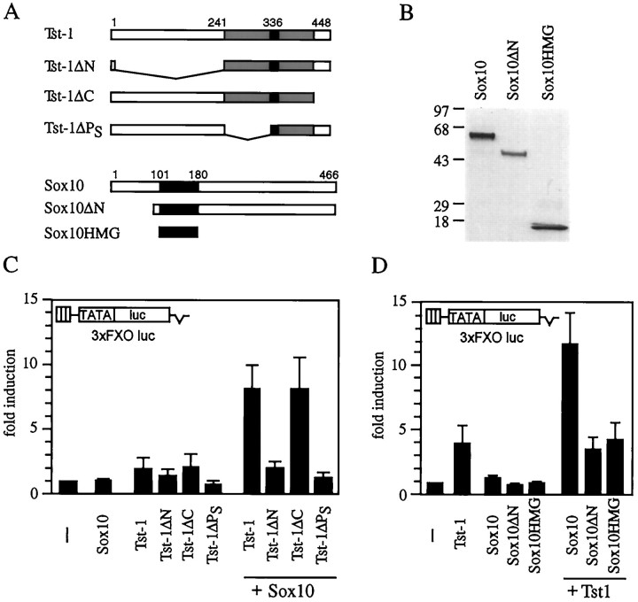 Fig. 9.