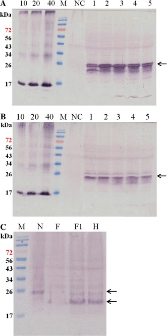 Fig. 3