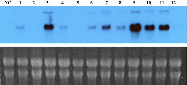 Fig. 2