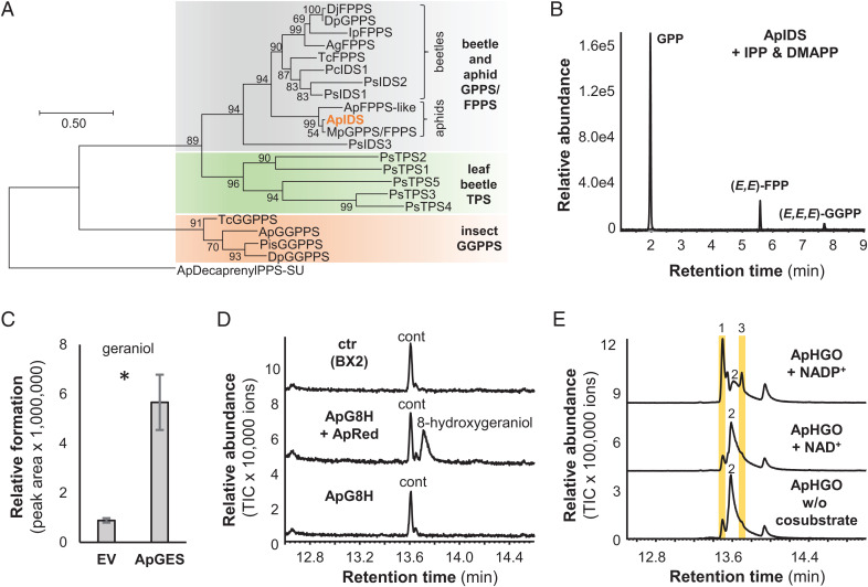 Fig. 2.