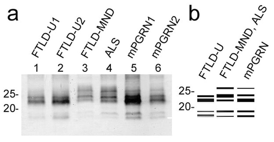 Fig. 5