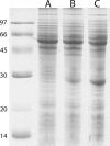 FIG 3