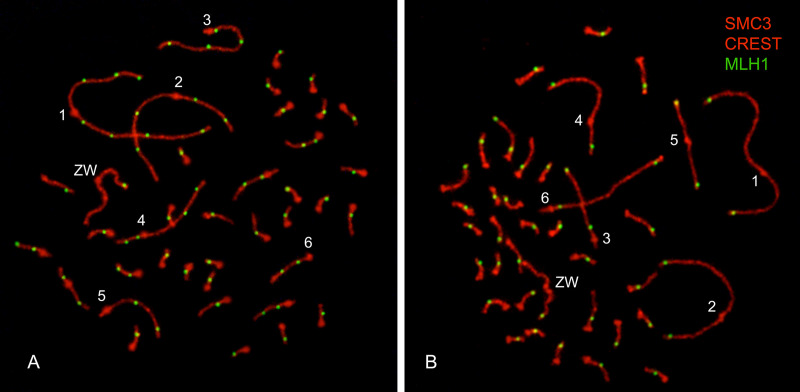 Fig 2