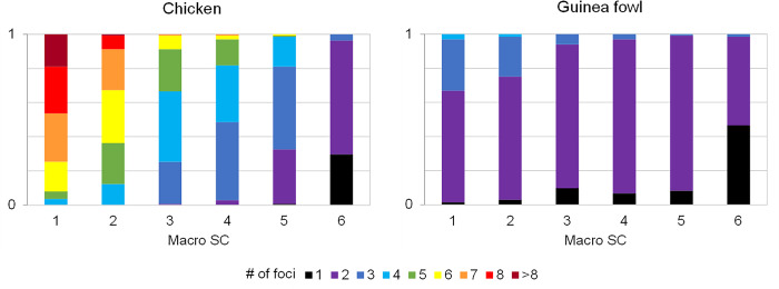 Fig 4