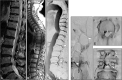 Fig 2.