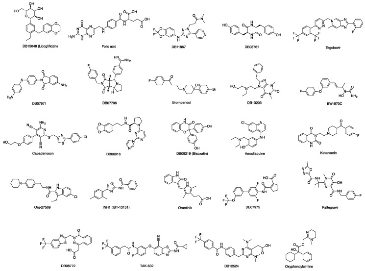 Figure 13