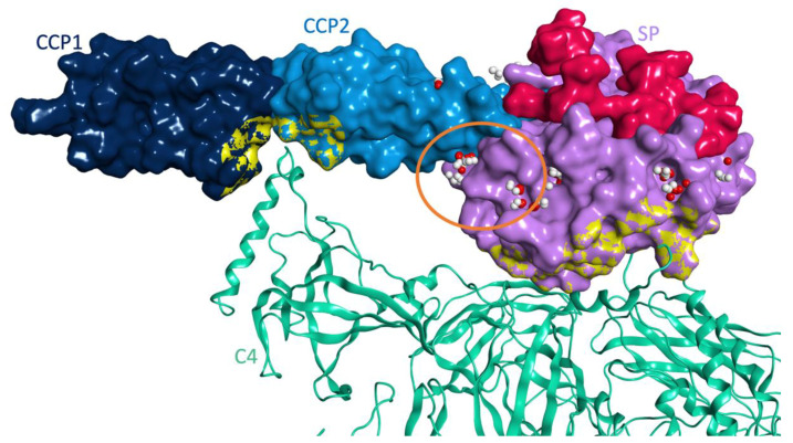 Figure 10