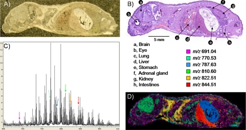 Fig. 1.