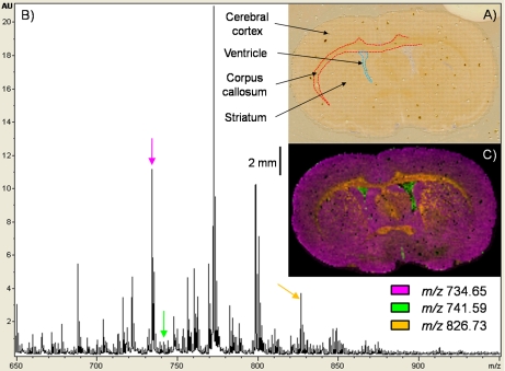 Fig. 2.