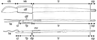 Fig. 13