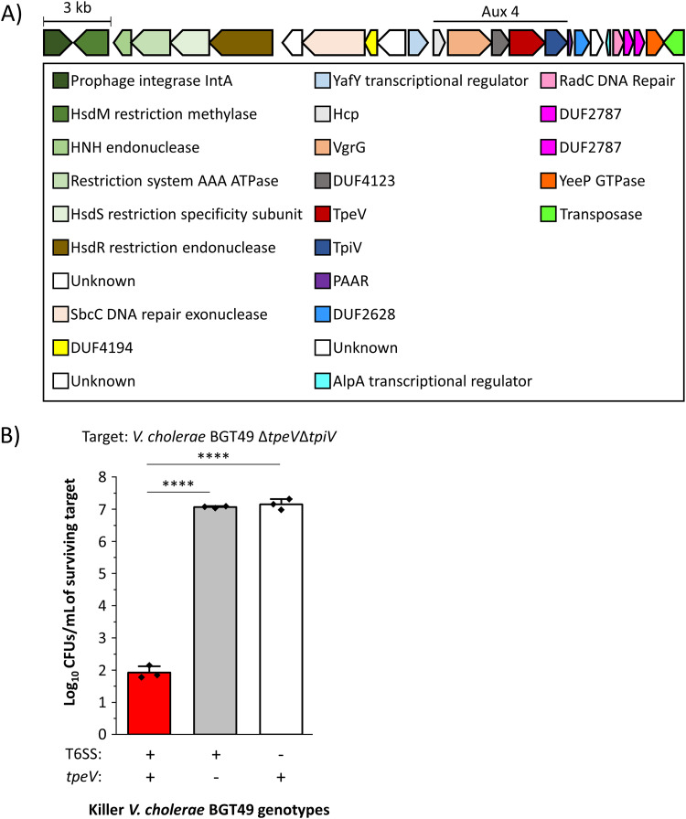 FIG 1